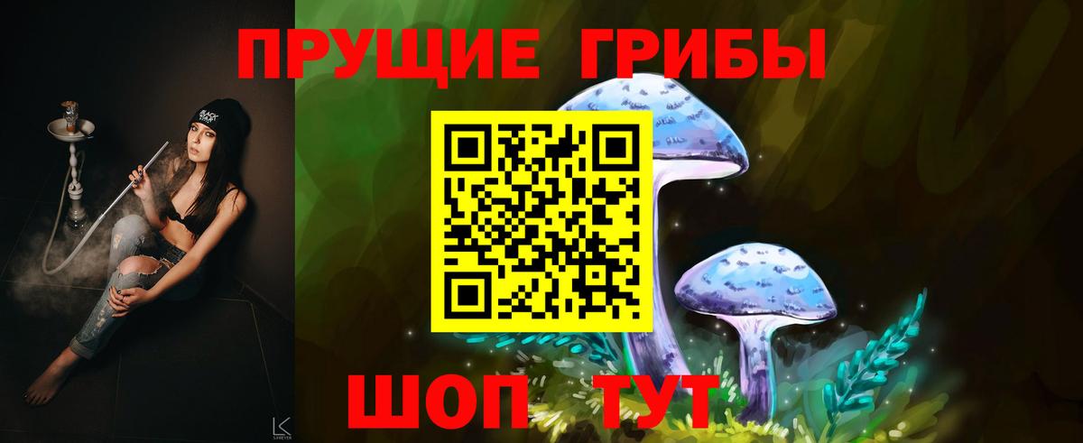 Псилоцибиновые грибы Cubensis Пыть-Ях